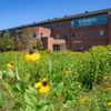 One of four bioswales and urban prairies built on campus since 2016.