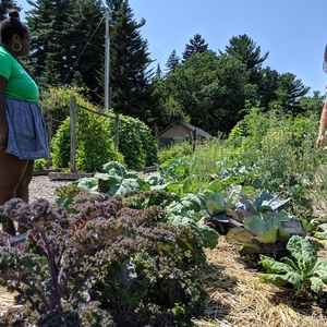 Climate Change Garden at Cornell University