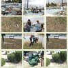 Cleanup of our local parks by the Cyprus School of Molecular Medicine