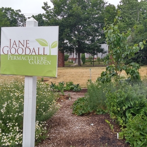 WCSU Jane Goodall Permaculture Garden