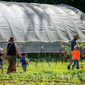 The Working Farms Fund: Partnership to Build a Sustainable Local Food System