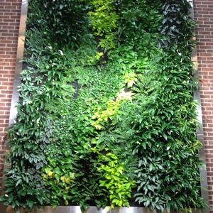 Rainwater Harvesting and Green Wall in LEED Gold building