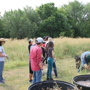 STARS Report as a Framework for Campus Sustainability.