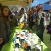 Student line up at the Office of Sustainability's booth at the Earth Day Expo to plant succulents.