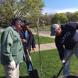 Arbor Day Tree Planting SUNY Fredonia 2017