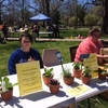 Local vendors and shops set up booths at the Festival