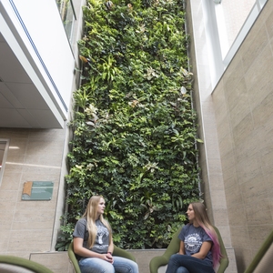 Delta College Living Wall