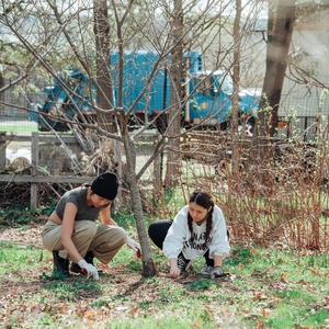 SUNY College of Environmental Science and Forestry