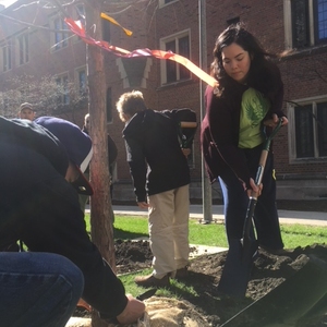 Arbor Day Tree Planting