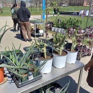 Plant Sale and Compost Giveback