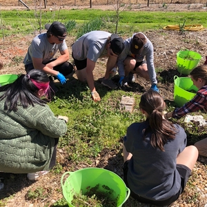 Kennesaw State University (KSU) Food Forest: A Living Learning Lab Advancing High Impact Pedagogy, while Promoting Sustainable Agriculture, Climate Resilience, Food Justice, and Food Security.