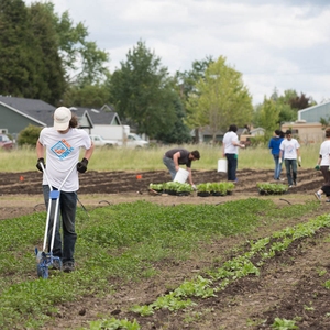 End of the Year Service Learning Project 2016