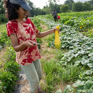 Farm Photos from Dickinson College