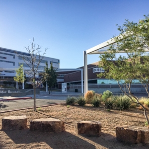 Central New Mexico Community College, Main Campus Detention Basin