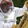 The Hive: Dickinson's Beekeeping Cooperative