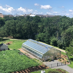 UMass Lowell Urban Agriculture Program