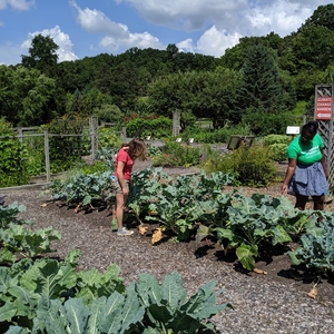 Climate Change Garden at Cornell University