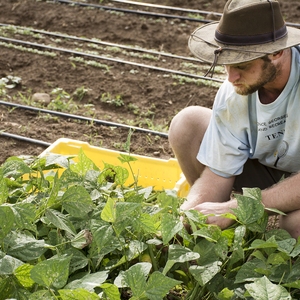 Collaborations for growing the Virginia Tech Farm to Campus Program