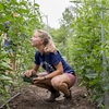 Bates College students working in the organic, no-till student garden.