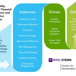 New York University - Return on Sustainable Investment Methodology