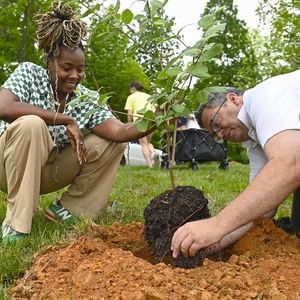 UNC Charlotte Campus Beautification Day