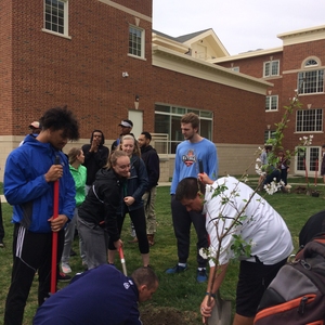 Carbon Neutral Green Basketball Game Tree Planting