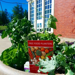 Free Food Planters at University of New Brunswick