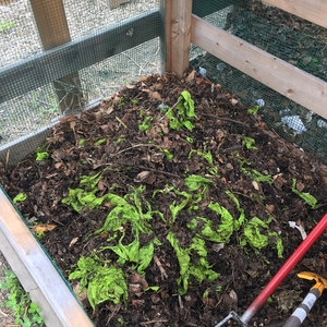 The Chemistry Behind Composting