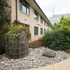 A rain barrel and rain garden outside of McCabe Hall at American University.