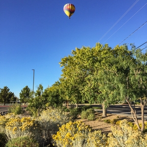 Central New Mexico Community College, Main Campus Detention Basin