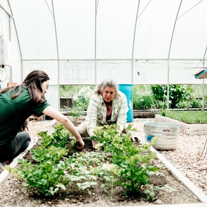 Cornell Climate Change Demonstration Garden