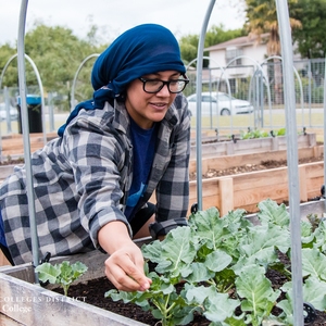 Working in the Community Garden