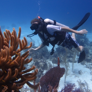 Principia College students routinely participate in multidisciplinary internships that challenge them to develop solutions to complex problems, such as biodiversity loss.