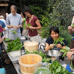 Sustainable Food Production at Yale