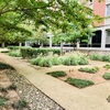 The rain garden outside of Lee Residence Hall at NC State University was designed and built by students in the landscape architecture graduate program. This Design-Build course has a long partnership with University Housing, having created numerous sustainable landscapes around campus residence halls. The rain garden helps slow and filter storm water on-site.