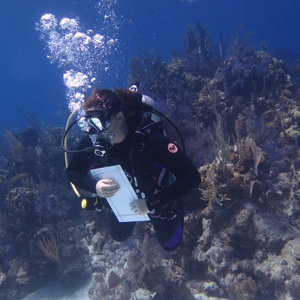 Principia College students routinely participate in multidisciplinary internships that challenge them to develop solutions to complex problems, such as biodiversity loss.