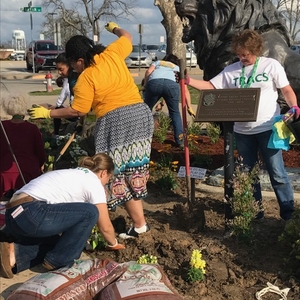 Building a Monarch Waystation