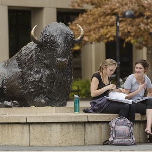 CU Boulder PIPs Rewards App