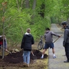 Penn State’s Eco Action chapter helped the Office of the Physical Plant (OPP) plant two red oak trees on Tuesday, April 25 along the President’s house driveway. They learned how OPP is improving biodiversity by planting a variety native tree species to replace the old, dying trees on campus.