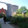 A picture of UWM’s grounds that is a good representation of recent stormwater and habitat restoration efforts undertaken.