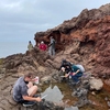 Students with USC Dornsife's Nuzhdin Lab employ molecular biology and bioinformatic techniques to better understand the interactions between genotype and phenotype across a wide range of organisms. The lab is interested in how these techniques can be applied to aquaculture in Southern California.