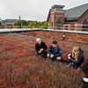 The roof of UVM's George D. Aiken Center, A LEED Platinum building, is comprised of eight small "watersheds," six of which are planted with flats of vegetation. Faculty and students use the roof and its drainage water to test stormwater management strategies.