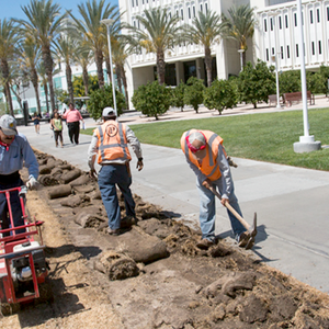 Campus Recognized for Energy, Water Efficiency