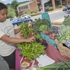 Lafayette College Farmers Market sells produce sown, grown and harvested by students at LaFarm, the College's 3 acre working farm