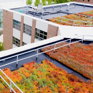 Taking Stormwater Seriously at the University of Vermont