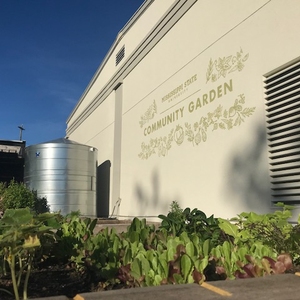 Mississippi State Community Garden