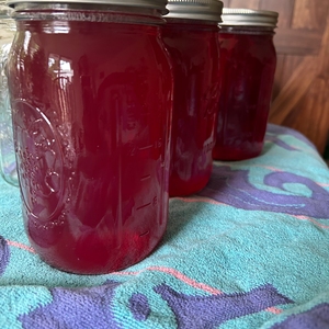 Kennesaw State University (KSU) Food Forest: A Living Learning Lab Advancing High Impact Pedagogy, while Promoting Sustainable Agriculture, Climate Resilience, Food Justice, and Food Security.