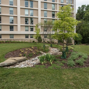 Water Management at American University