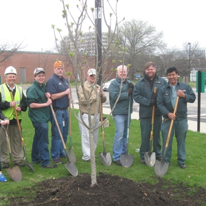 We Are All In This Together: Arbor Day Tree Planting