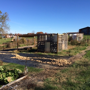 The Shawneetown Gardens: a Sustainable Campus Community Garden Cultivated through Creation of Place